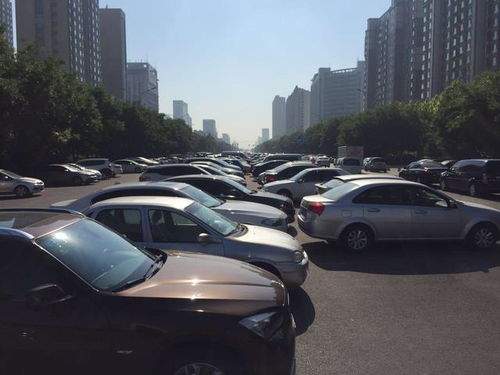 十万汽车能贷款多少
